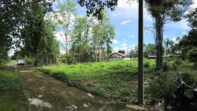 ใช่ 💖 ที่ดิน ดอยสะเก็ด ราคาพิเศษ! 💖 รูปที่ 2