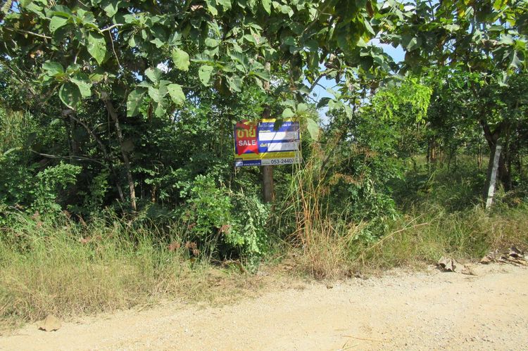 💖 ที่ดิน จอมทอง ราคาพิเศษ! 💖