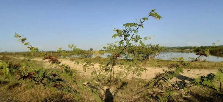 āđāļāđ ð āļāļĩāđāļāļīāļ āđāļĄāđāļāļąāļ āļĢāļēāļāļēāļāļīāđāļĻāļĐ! ð āļĢāļđāļāļāļĩāđ 3