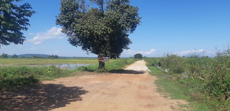 💖 ที่ดิน แม่จัน ราคาพิเศษ! 💖