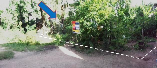 ใช่ 💖 ที่ดิน พัฒนานิคม ราคาพิเศษ! 💖 รูปที่ 3