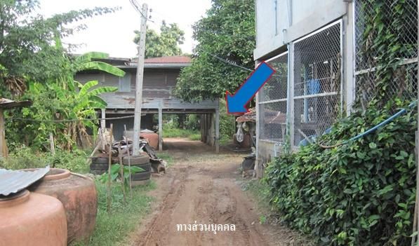 ใช่ 💖 ที่ดิน พัฒนานิคม ราคาพิเศษ! 💖 รูปที่ 4