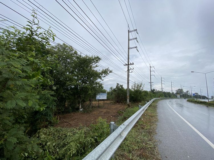 💖 ที่ดิน บ้านโฮ่ง ราคาพิเศษ! 💖