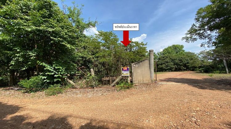 ใช่ 💖 ที่ดิน แม่ทา ราคาพิเศษ! 💖 รูปที่ 2