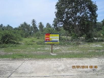 ใช่ 💖 ที่ดิน ตากใบ ราคาพิเศษ! 💖