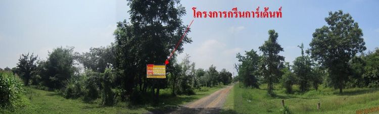 💖 ที่ดิน ปักธงชัย ราคาพิเศษ! 💖