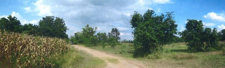 ใช่ 💖 ที่ดิน ปักธงชัย ราคาพิเศษ! 💖 รูปที่ 2