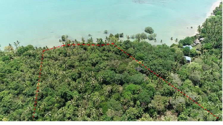 ใช่ 💖 ที่ดิน เมืองภูเก็ต ราคาพิเศษ! 💖 รูปที่ 2