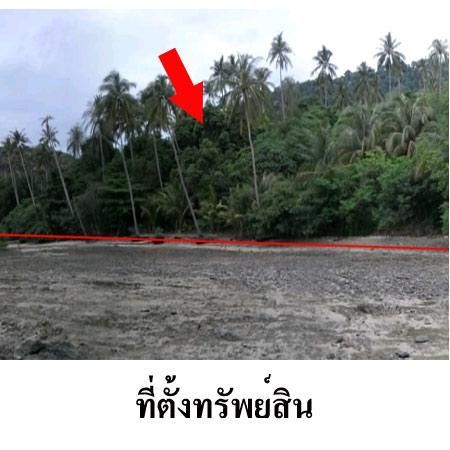 ใช่ 💖 ที่ดิน เมืองภูเก็ต ราคาพิเศษ! 💖 รูปที่ 3