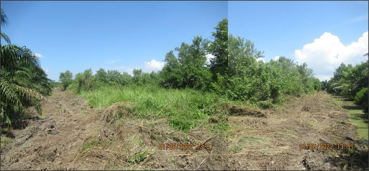 ใช่ 💖 ที่ดิน ดอนสัก ราคาพิเศษ! 💖 รูปที่ 4