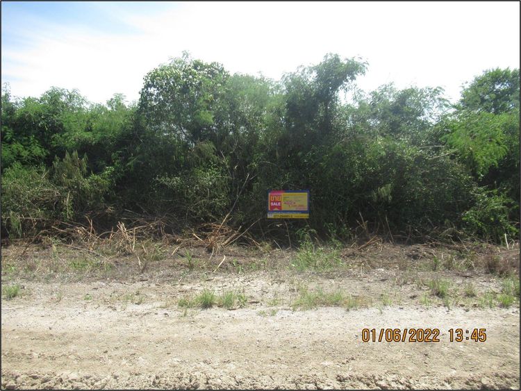 💖 ที่ดิน ดอนสัก ราคาพิเศษ! 💖