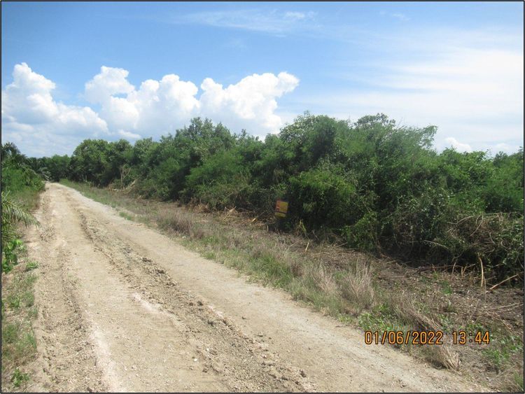 ใช่ 💖 ที่ดิน ดอนสัก ราคาพิเศษ! 💖 รูปที่ 3