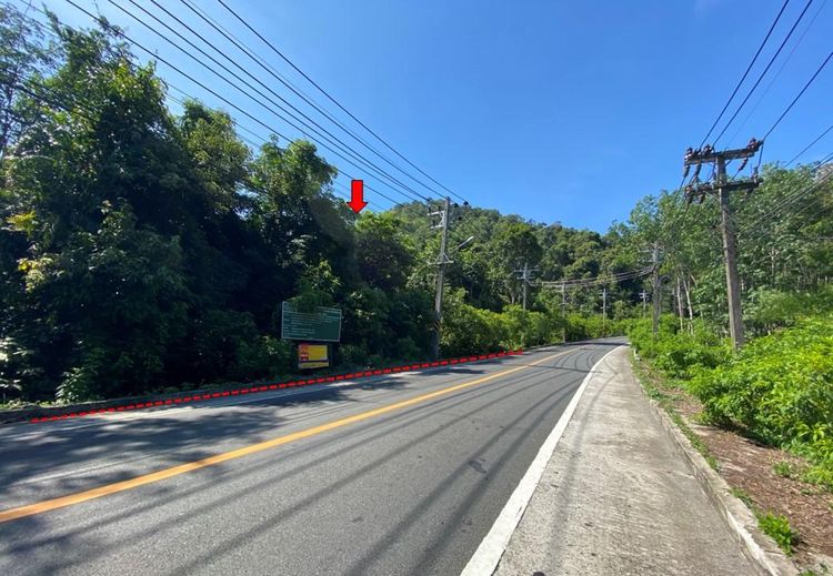 ใช่ 💖 ที่ดิน กิ่งอำเภอเกาะช้าง ราคาพิเศษ! 💖 รูปที่ 3