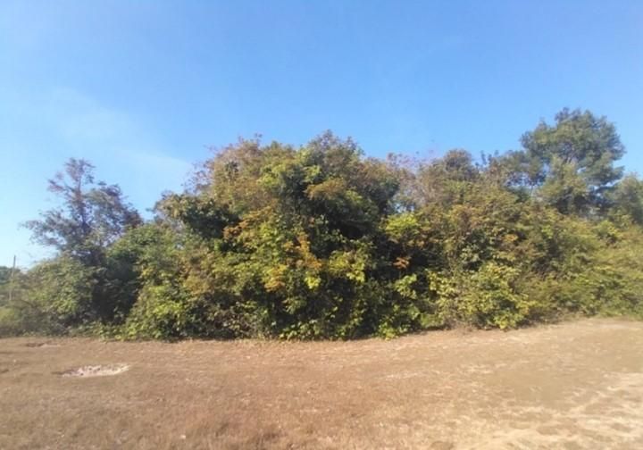 āđāļāđ ð āļāļĩāđāļāļīāļ āđāļĄāļ·āļāļāļāļļāļāļĨāļĢāļēāļāļāļēāļāļĩ āļĢāļēāļāļēāļāļīāđāļĻāļĐ! ð āļĢāļđāļāļāļĩāđ 3