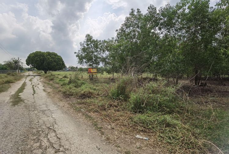 āđāļāđ ð āļāļĩāđāļāļīāļ āļĨāļēāļāļāļąāļ§āļŦāļĨāļ§āļ āļĢāļēāļāļēāļāļīāđāļĻāļĐ! ð āļĢāļđāļāļāļĩāđ 3