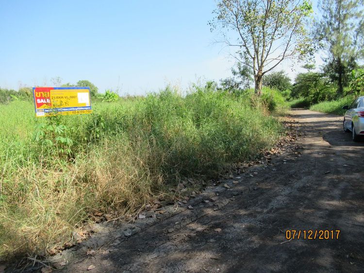 ใช่ 💖 ที่ดิน หนองจอก ราคาพิเศษ! 💖 รูปที่ 2