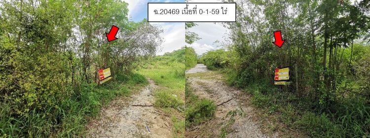 💖 ที่ดิน ดอยหล่อ ราคาพิเศษ! 💖