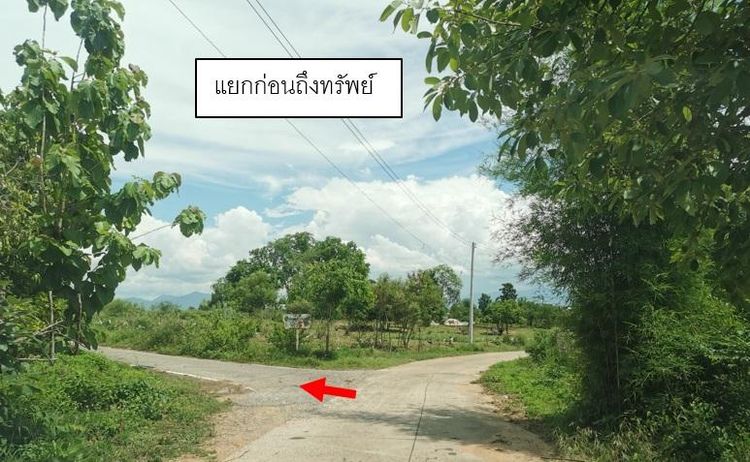 ใช่ 💖 ที่ดิน ดอยหล่อ ราคาพิเศษ! 💖 รูปที่ 3