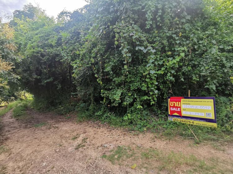 ใช่ 💖 ที่ดิน จอมทอง ราคาพิเศษ! 💖