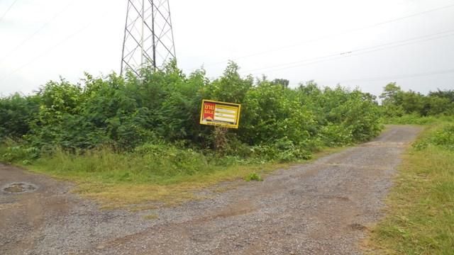 ใช่ 💖 ที่ดิน เมืองมหาสารคาม ราคาพิเศษ! 💖 รูปที่ 4