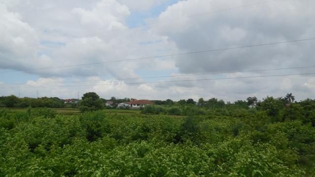 ใช่ 💖 ที่ดิน เมืองมหาสารคาม ราคาพิเศษ! 💖 รูปที่ 2