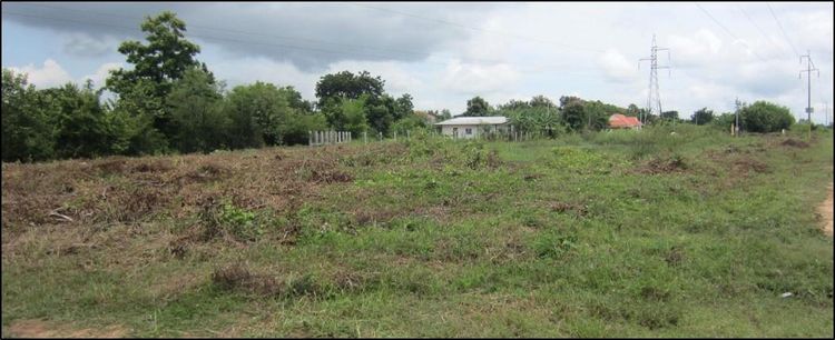 ใช่ 💖 ที่ดิน เมืองมหาสารคาม ราคาพิเศษ! 💖 รูปที่ 3