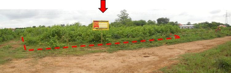 ใช่ 💖 ที่ดิน เมืองมหาสารคาม ราคาพิเศษ! 💖