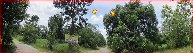 💖 ที่ดิน ปักธงชัย ราคาพิเศษ! 💖