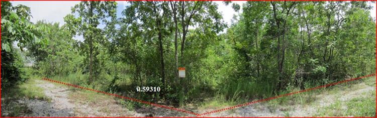 ใช่ 💖 ที่ดิน ปักธงชัย ราคาพิเศษ! 💖 รูปที่ 4