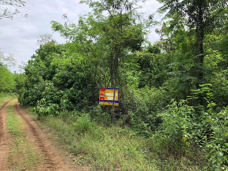 ใช่ 💖 ที่ดิน บึงสามพัน ราคาพิเศษ! 💖 รูปที่ 3