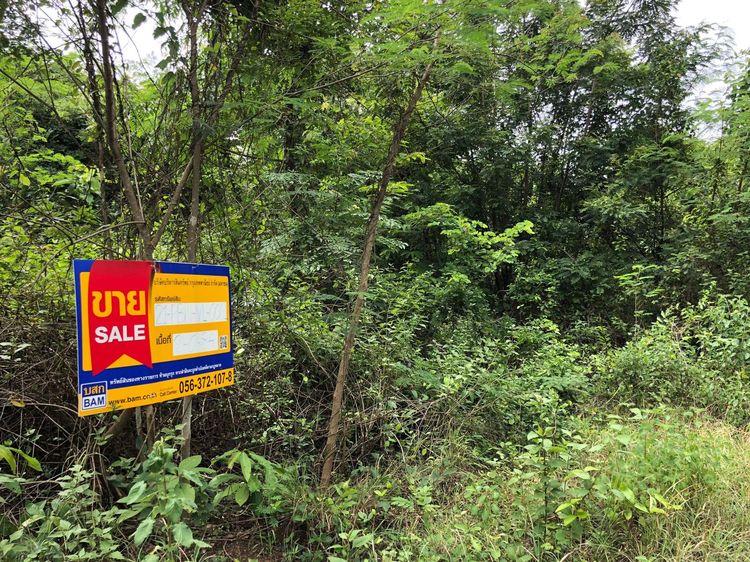 ใช่ 💖 ที่ดิน บึงสามพัน ราคาพิเศษ! 💖 รูปที่ 4