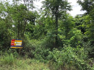 💖 ที่ดิน บึงสามพัน ราคาพิเศษ! 💖