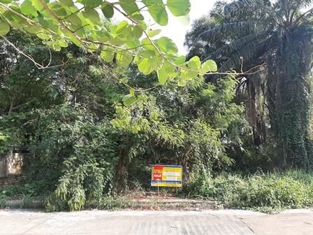 ใช่ 💖 ที่ดิน ธัญบุรี ราคาพิเศษ! 💖