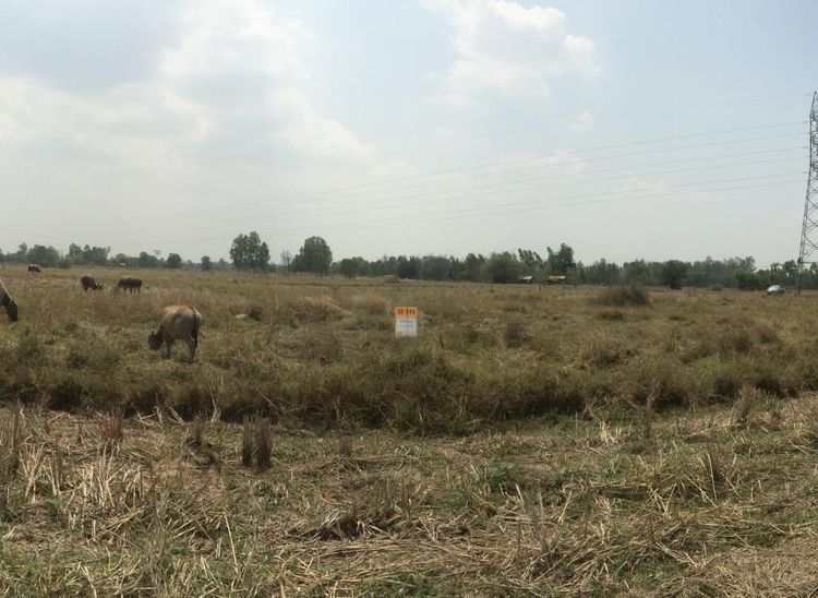 💖 ที่ดิน เมืองอุดรธานี ราคาพิเศษ! 💖