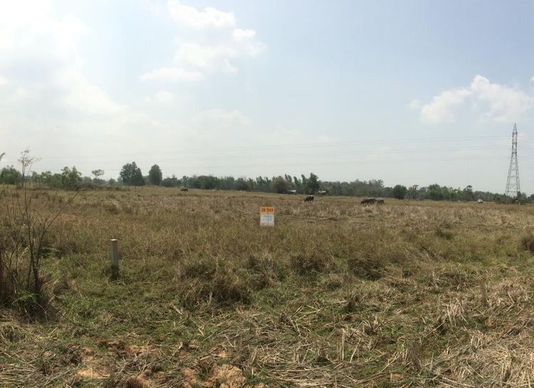 ใช่ 💖 ที่ดิน เมืองอุดรธานี ราคาพิเศษ! 💖