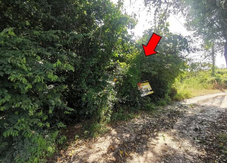 ใช่ 💖 ที่ดิน จอมทอง ราคาพิเศษ! 💖 รูปที่ 3