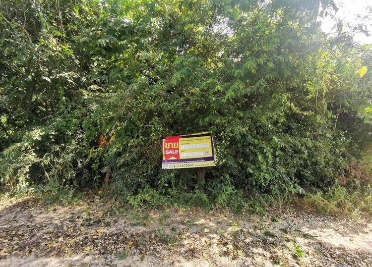 ใช่ 💖 ที่ดิน จอมทอง ราคาพิเศษ! 💖 รูปที่ 2