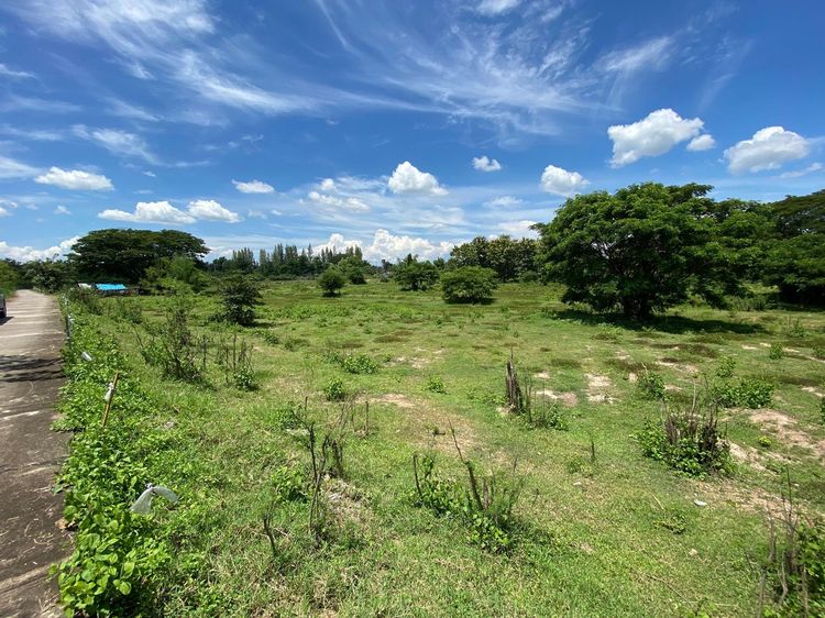 ใช่ 💖 ที่ดิน ดอยหล่อ ราคาพิเศษ! 💖 รูปที่ 3