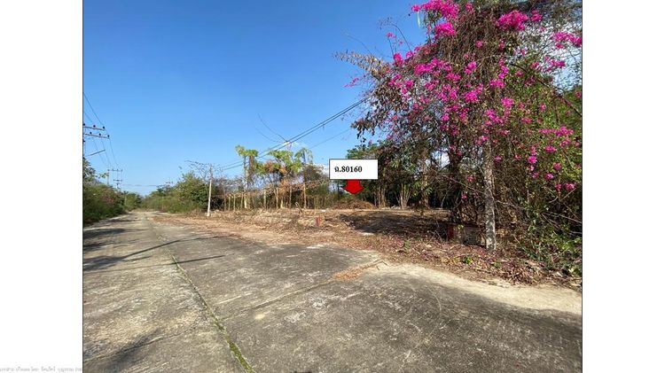 ใช่ 💖 ที่ดิน เมืองลำพูน ราคาพิเศษ! 💖 รูปที่ 2