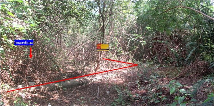 💖 ที่ดิน ชะอำ ราคาพิเศษ! 💖