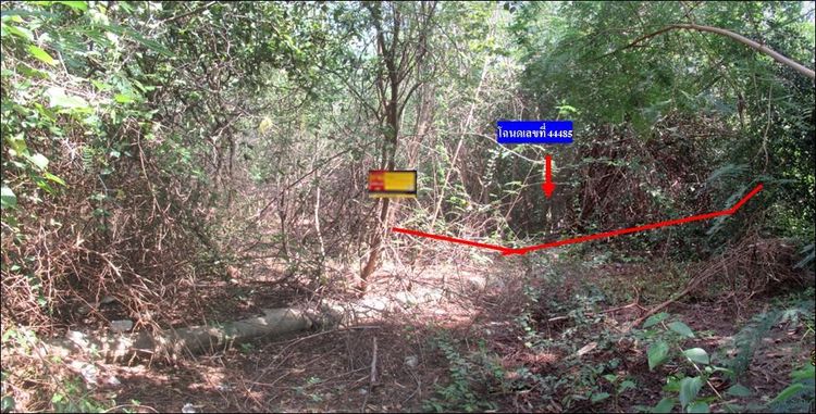 ใช่ 💖 ที่ดิน ชะอำ ราคาพิเศษ! 💖