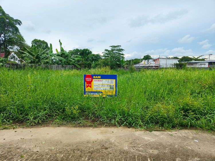 💖 ที่ดิน บางพลี ราคาพิเศษ! 💖