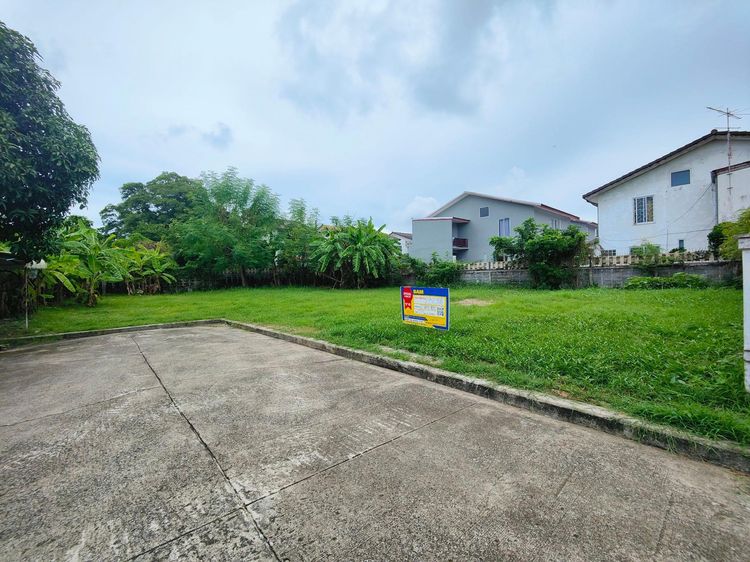 💖 ที่ดิน บางพลี ราคาพิเศษ! 💖