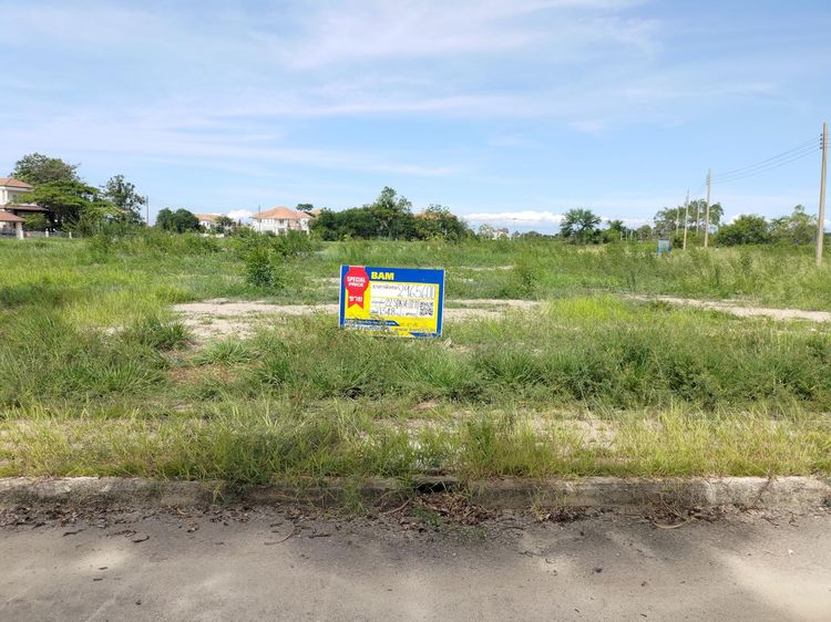 💖 ที่ดิน บางพลี ราคาพิเศษ! 💖