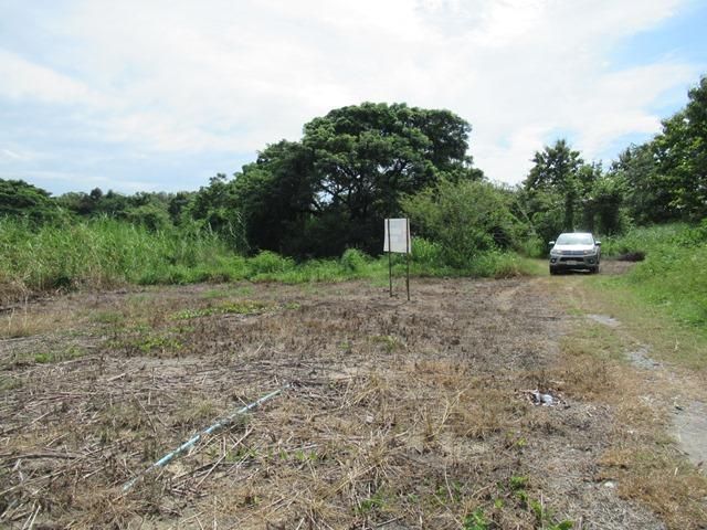 ใช่ 💖 ที่ดิน แม่แตง ราคาพิเศษ! 💖 รูปที่ 3