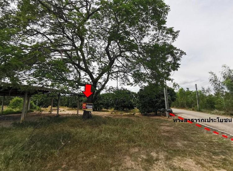 ใช่ 💖 ที่ดิน จอมทอง ราคาพิเศษ! 💖 รูปที่ 4