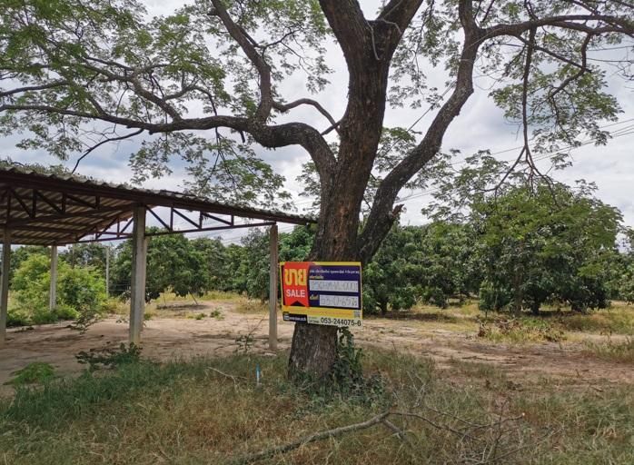 ใช่ 💖 ที่ดิน จอมทอง ราคาพิเศษ! 💖 รูปที่ 3