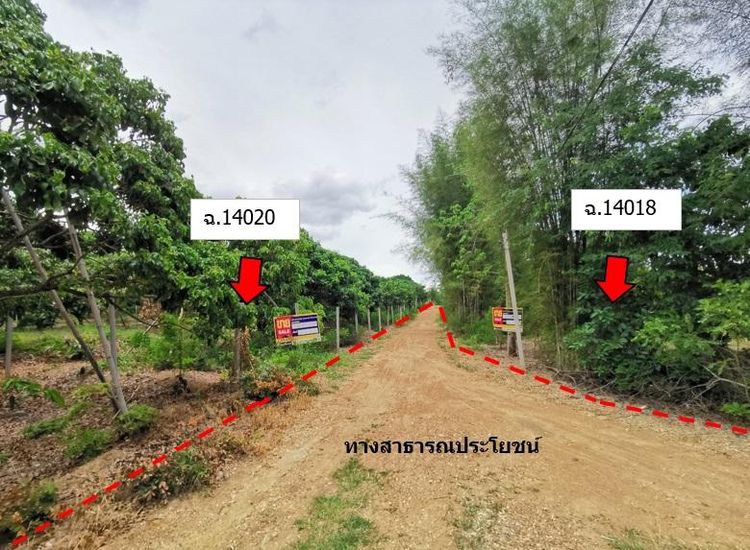 💖 ที่ดิน จอมทอง ราคาพิเศษ! 💖