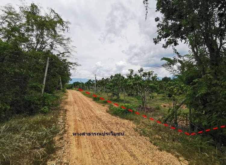 ใช่ 💖 ที่ดิน จอมทอง ราคาพิเศษ! 💖 รูปที่ 4