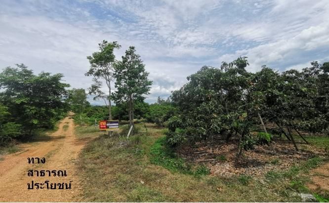 ใช่ 💖 ที่ดิน จอมทอง ราคาพิเศษ! 💖 รูปที่ 2